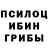 Галлюциногенные грибы GOLDEN TEACHER Doodle Butt