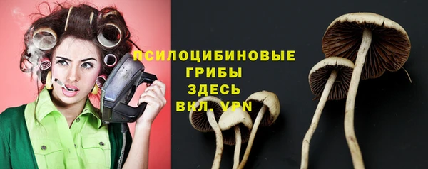 бошки Магадан